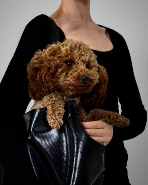 Le doggy bag existe en deux tailles. Photographe alex pommier Mannequin charlottetomas cahu 3 Moyenne