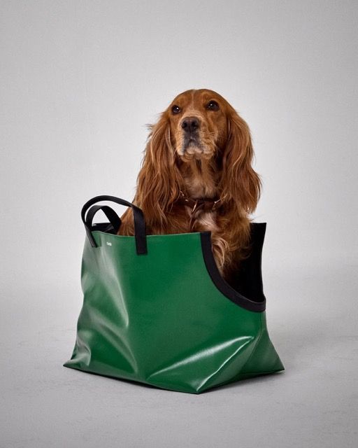 Le doggy bag existe en deux tailles. Photographe alexpommierMannequin mojo.cocker cahu cahu Moyenne