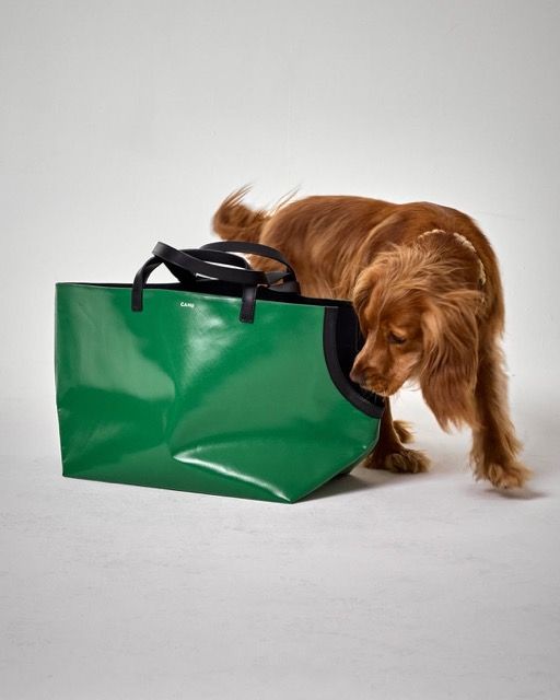 Le doggy bag existe en deux tailles. Photographe alexpommierMannequin mojo.cocker cahu cahu 2 Moyenne